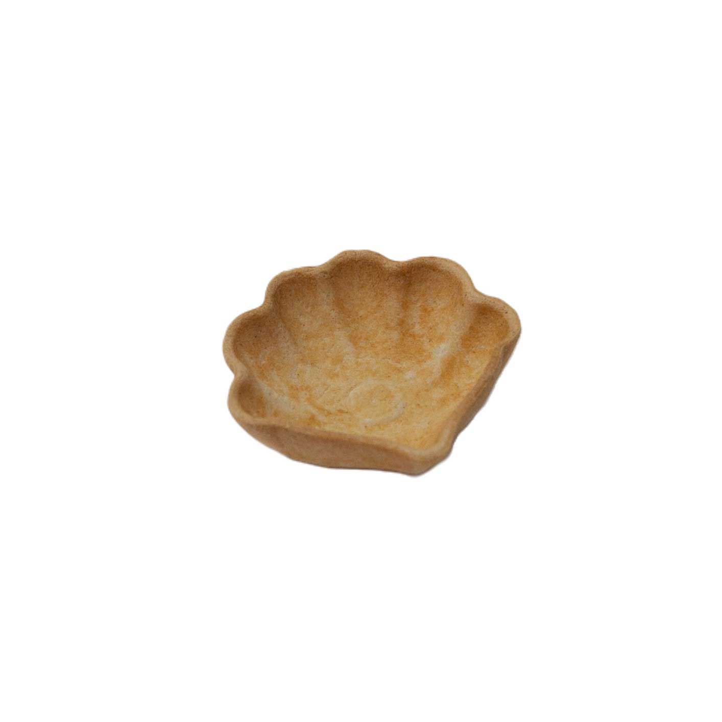 Mini coquille (54x15mm)  256un