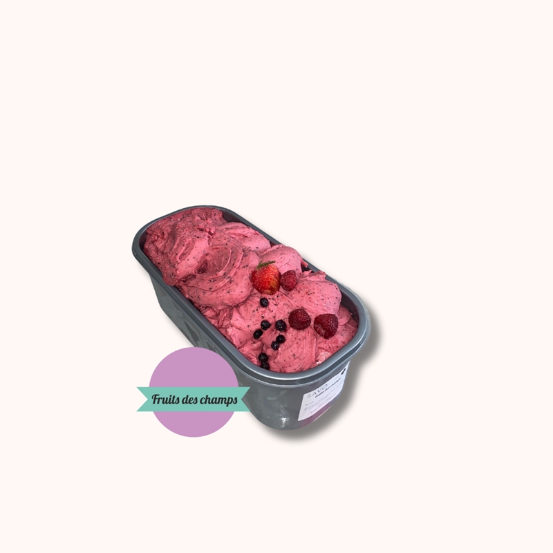 Sorbet Savo Fruits des champs 5L