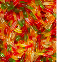 Bonbon Gummies vers assortis 6x1.5kg