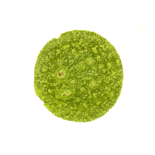 Tortillas épinard 12" (6x12un)