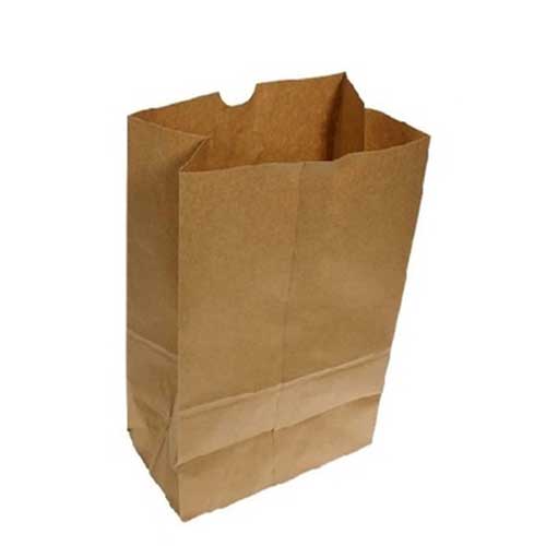 Sac de papier brun épicerie DD50  (9.75"x6"x16")  500un