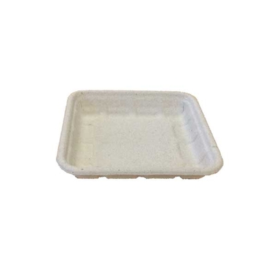 Plateau Bagasse carré (6 x 6 x 1) 500 un